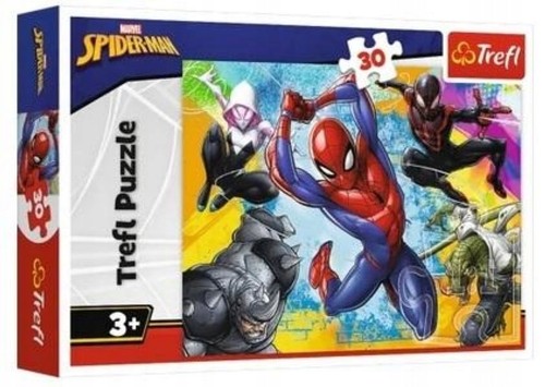 Jigsaw puzzle pieces - jigsaw, 30